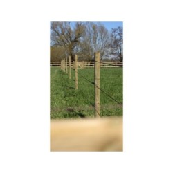 Houten palen | Weidepalen | grenen | Tanalith-e | rond gefreesd | 10x250 cm | va €11,51 p/s -