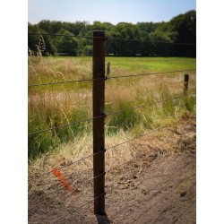 Houten palen | Weidepalen | grenen | PRE-SHIELD® | rond gefreesd | 10x180 cm | va €10,43 p/s -