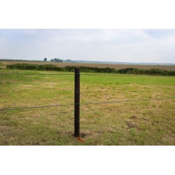 Houten palen | Weidepalen | grenen | PRE-SHIELD® | rond gefreesd | 10x180 cm | va €10,43 p/s -