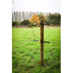 Houten palen | Weidepalen | grenen | Tanalith-e | rond gefreesd | 12x220 cm | va €14,78 p/s -