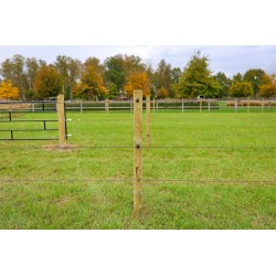 Houten palen | Weidepalen | grenen | Tanalith-e | rond gefreesd | 10x220 cm | va €10,66 p/s -