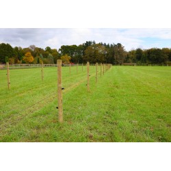 Houten palen | Weidepalen | grenen | Tanalith-e | rond gefreesd | 10x220 cm | va €10,66 p/s -