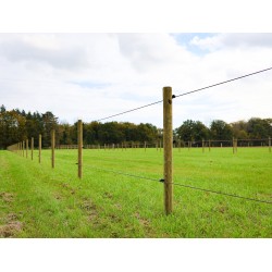 Houten palen | Weidepalen | grenen | Tanalith-e | rond gefreesd | 10x220 cm | va €10,66 p/s -