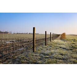 Houten palen | Weidepalen | grenen | PRE-SHIELD® | rond gefreesd | 10x250 cm | va €16,71 p/s -