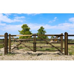Engelse houten poort - 210 cm - PRE-SHIELD® - weidepoort