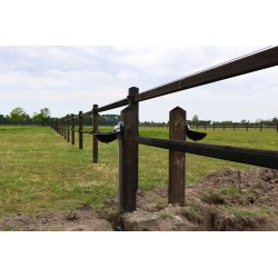 Drinkbakpaal - Suevia - PRE-SHIELD®