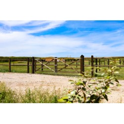 Engelse houten poort - 210 cm - PRE-SHIELD® - weidepoort