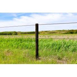 Houten palen | Weidepalen | grenen | PRE-SHIELD® | rond gefreesd | 10x225 cm | va €14,85 p/s -