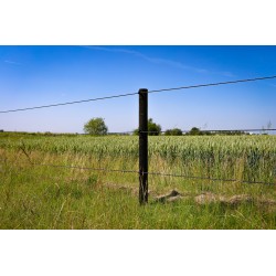 Houten palen | Weidepalen | grenen | PRE-SHIELD® | rond gefreesd | 10x225 cm | va €14,85 p/s -