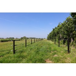 Houten palen | Weidepalen | grenen | PRE-SHIELD® | rond gefreesd | 12x225 cm | va €21,65 p/s -