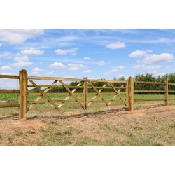 Complete dubbele Engelse poort 2 x 2,4 m (4,8 m) -Tanalith-E - inclusief poortpalen + hang- en sluitwerk - weidepoort