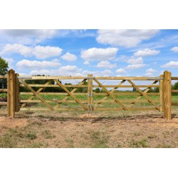 Complete dubbele Engelse poort 2 x 2,4 m (4,8 m) -Tanalith-E - inclusief poortpalen + hang- en sluitwerk - weidepoort