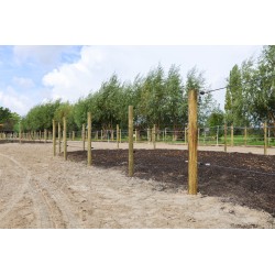 Houten palen | Weidepalen | grenen | Tanalith-e | rond gefreesd | 10x180 cm | va €9,24 p/s -