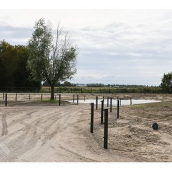 Houten palen | Weidepalen | grenen | PRE-SHIELD® | rond gefreesd | 10x250 cm | va €17,09 p/s -