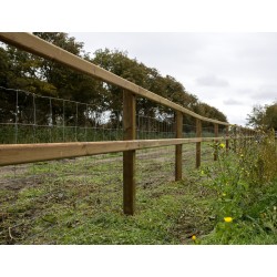 Ovis Crapo® | schapengaas | medium | verzinkt | 80 t/m 120 cm