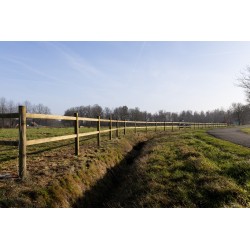 Doorsteek omheining - Round Original - 12x220 cm - 2 liggers - Tanalith-E