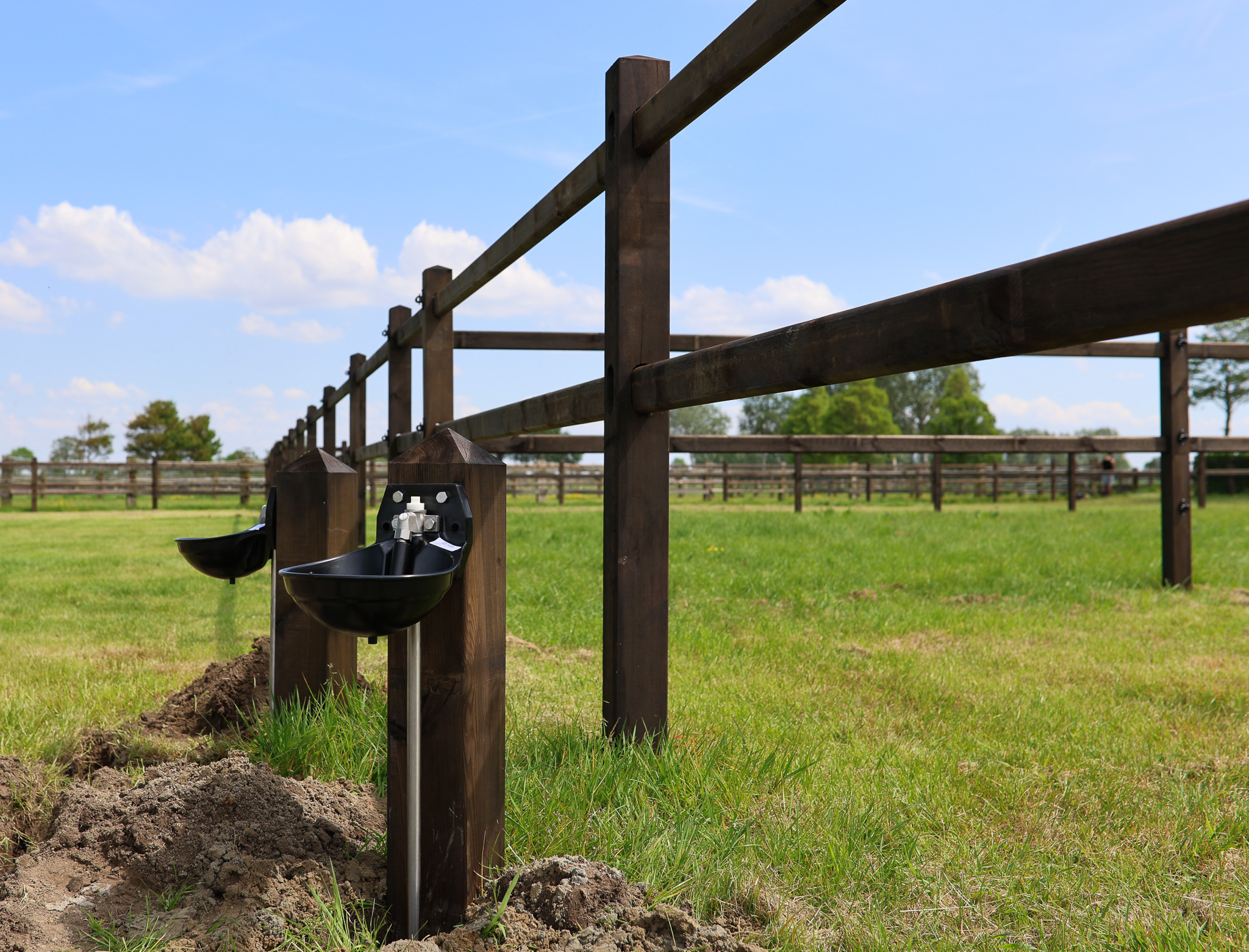 Drinkbak palen paardenomheining drinksysteem suevia Chevaldo Omheiningen